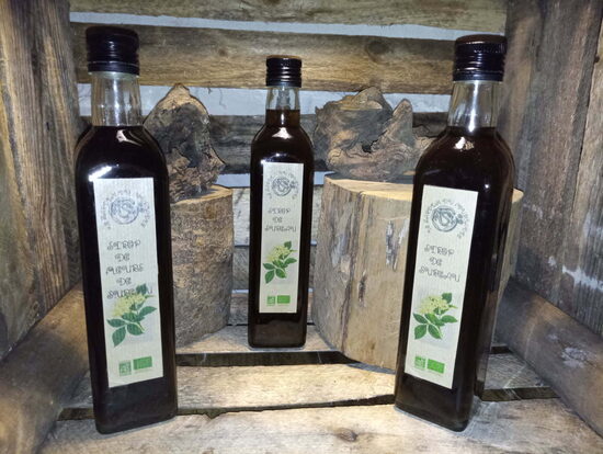 Sirop de sureau